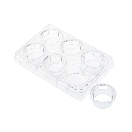 Celltreat Permeable Cell Culture Inserts, 6-Well, Hanging, PET, 3.0um, Sterile, PK12 230609
